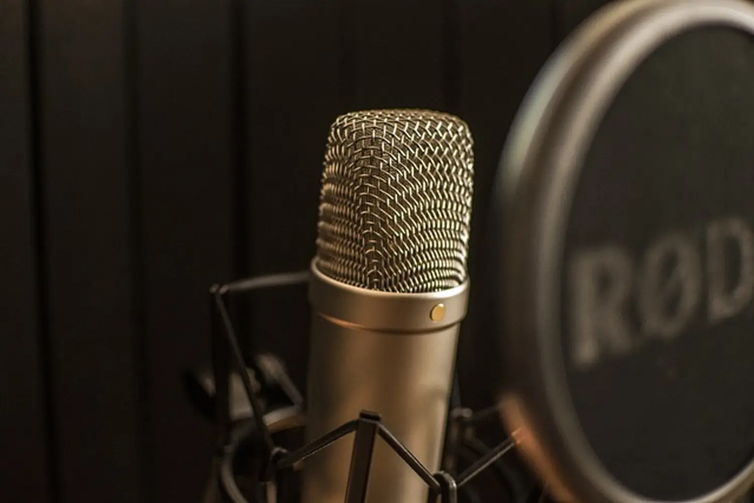 Mikrofon von Andreas von Appen